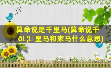 算命说是千里马(算命说千 🦟 里马和家马什么意思)